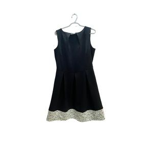Closet Curves A-line Dress NWT